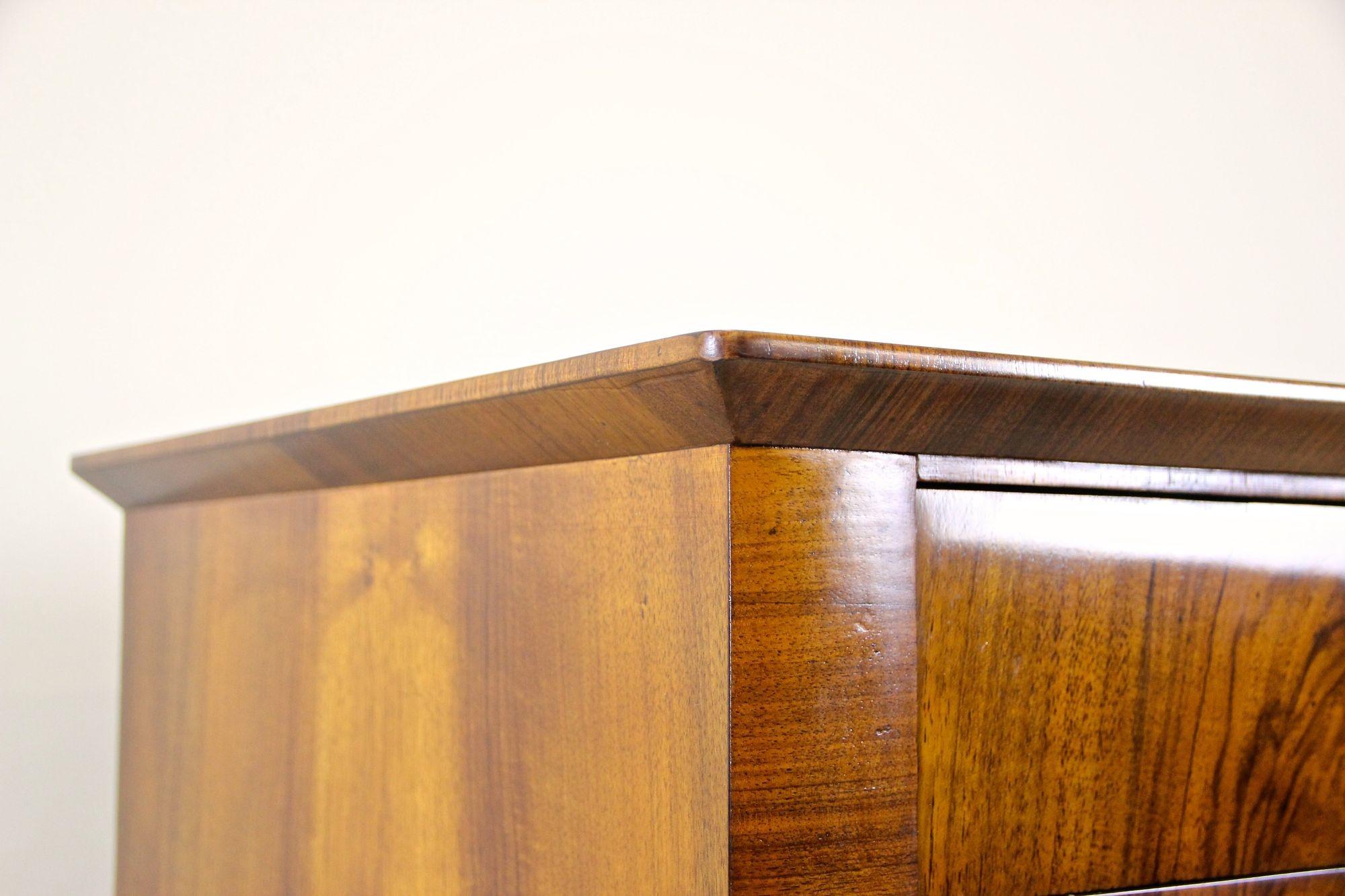 Biedermeier del XIX secolo in legno di noce Commode/ Trumeau, Austria, circa 1845 in vendita 10