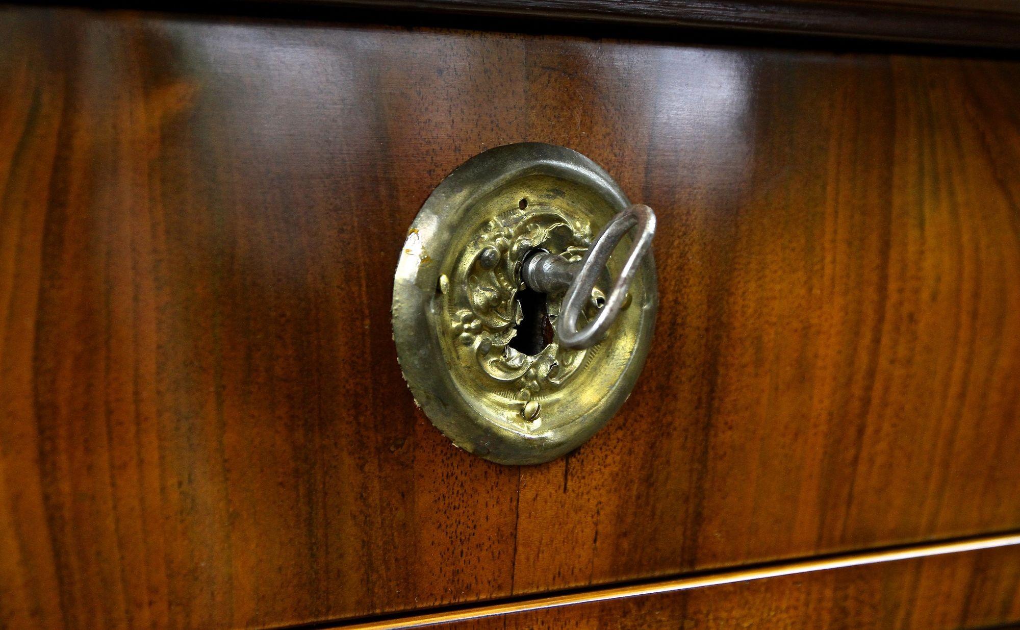 19. Jahrhundert Biedermeier Nussbaum Kommode/ Trumeau/ Halbschrank, AT um 1830 im Angebot 8