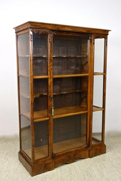 19th Century Biedermeier Nutwood Display Cabinet/ Vitrine, Austria circa 1840
