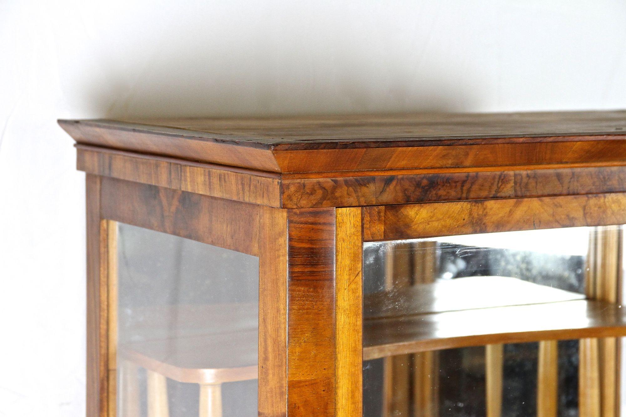 Vetrinetta in legno di noce Biedermeier del XIX secolo, Austria, circa 1840 in vendita 4