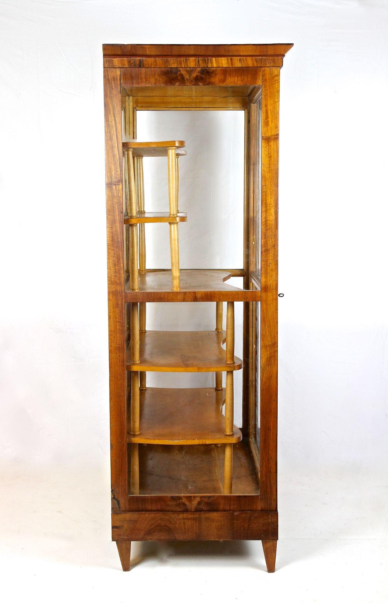 Vetrinetta in legno di noce Biedermeier del XIX secolo, Austria, circa 1840 in vendita 5