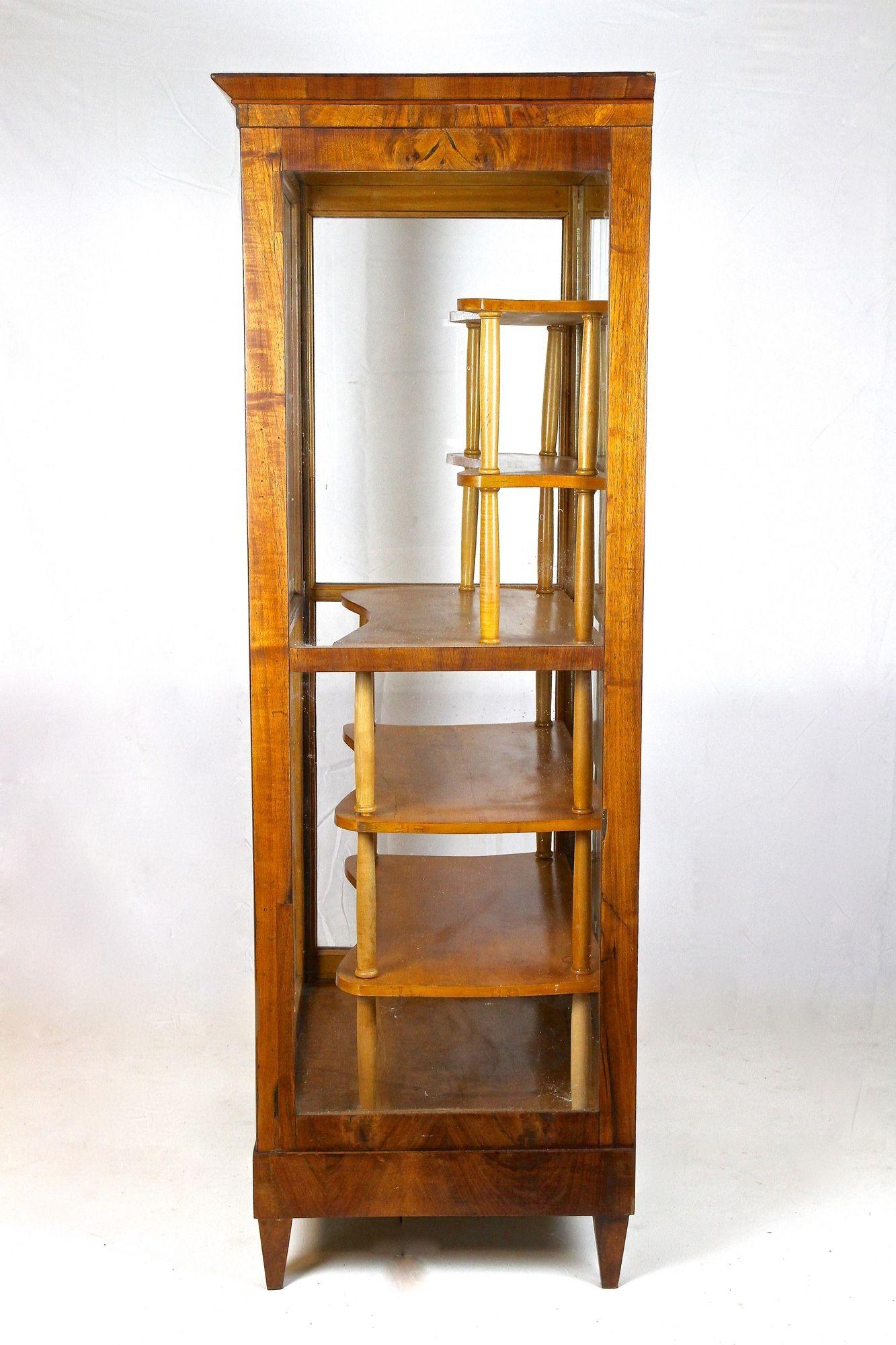 Vetrinetta in legno di noce Biedermeier del XIX secolo, Austria, circa 1840 in vendita 7