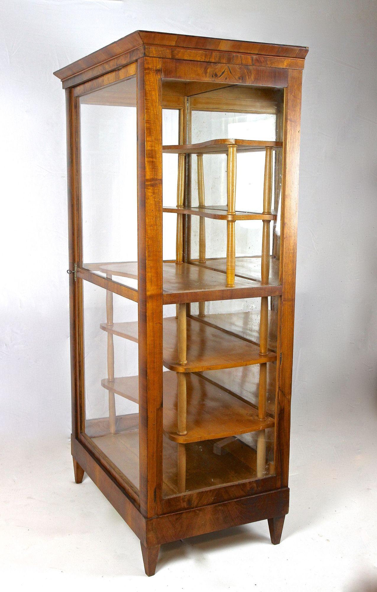 Vetrinetta in legno di noce Biedermeier del XIX secolo, Austria, circa 1840 in vendita 9