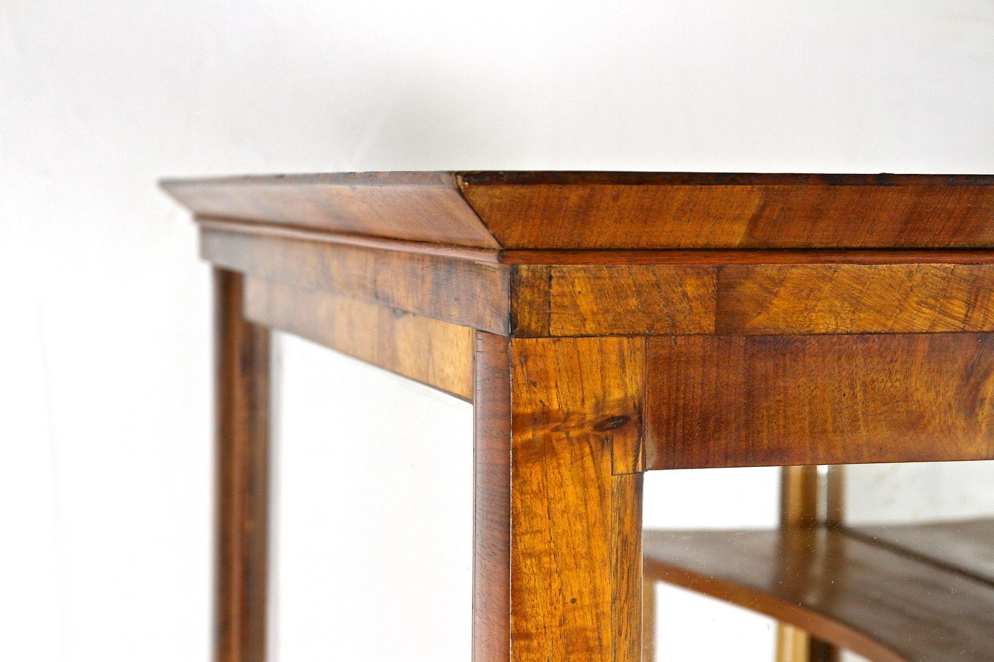Vetrinetta in legno di noce Biedermeier del XIX secolo, Austria, circa 1840 in vendita 10
