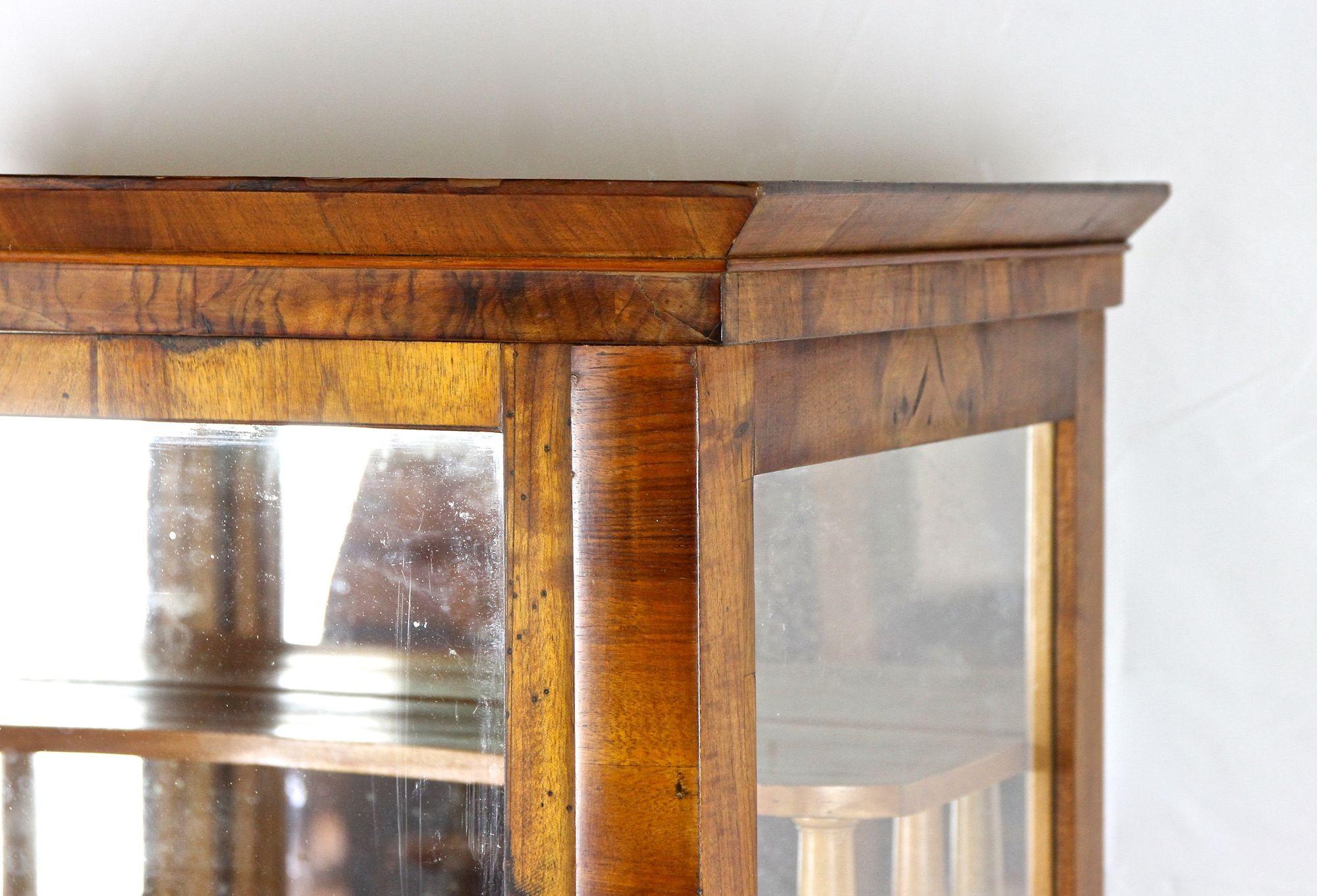Vetrinetta in legno di noce Biedermeier del XIX secolo, Austria, circa 1840 in vendita 2