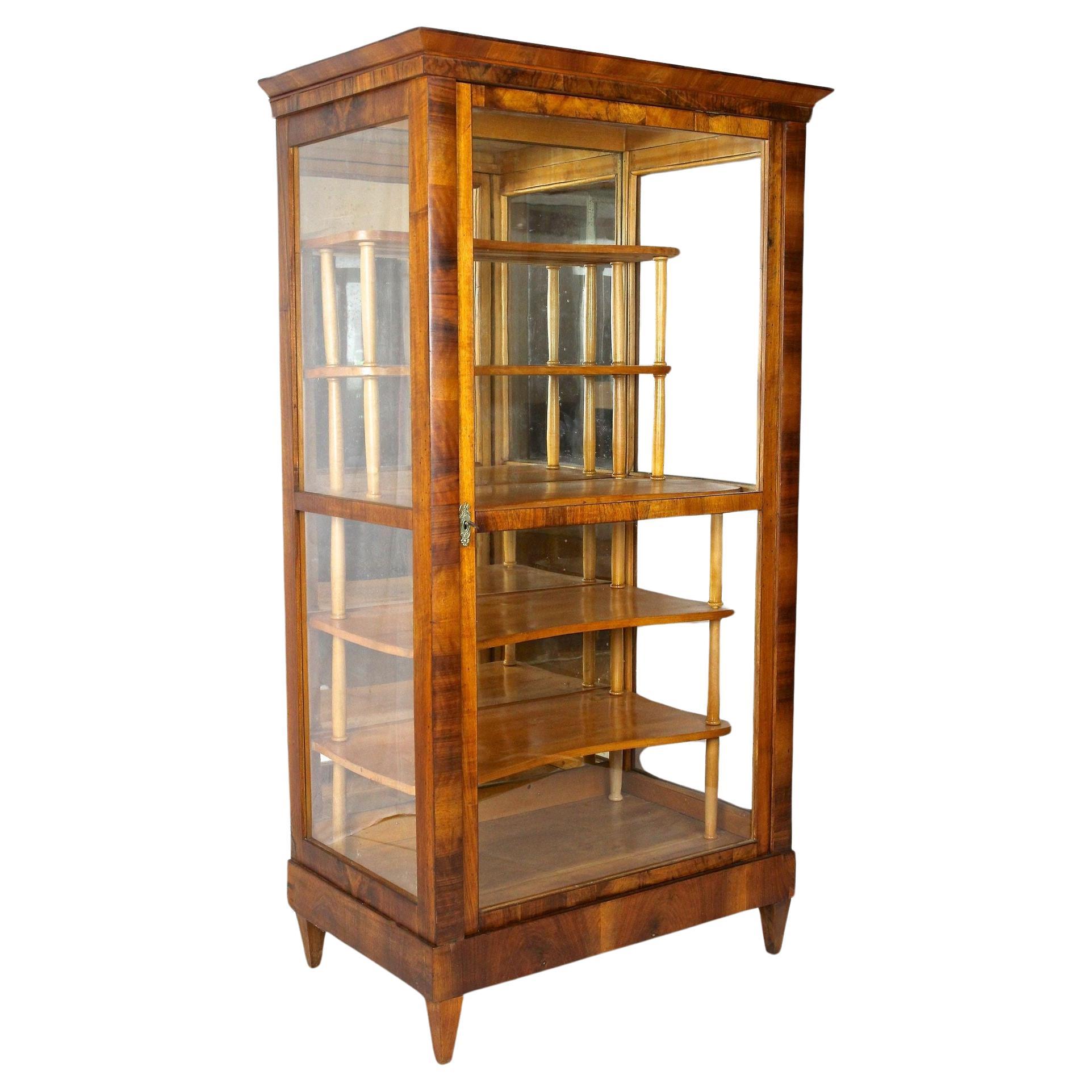 19th Century Biedermeier Nutwood Vitrine/ Display Cabinet, Austria circa 1840