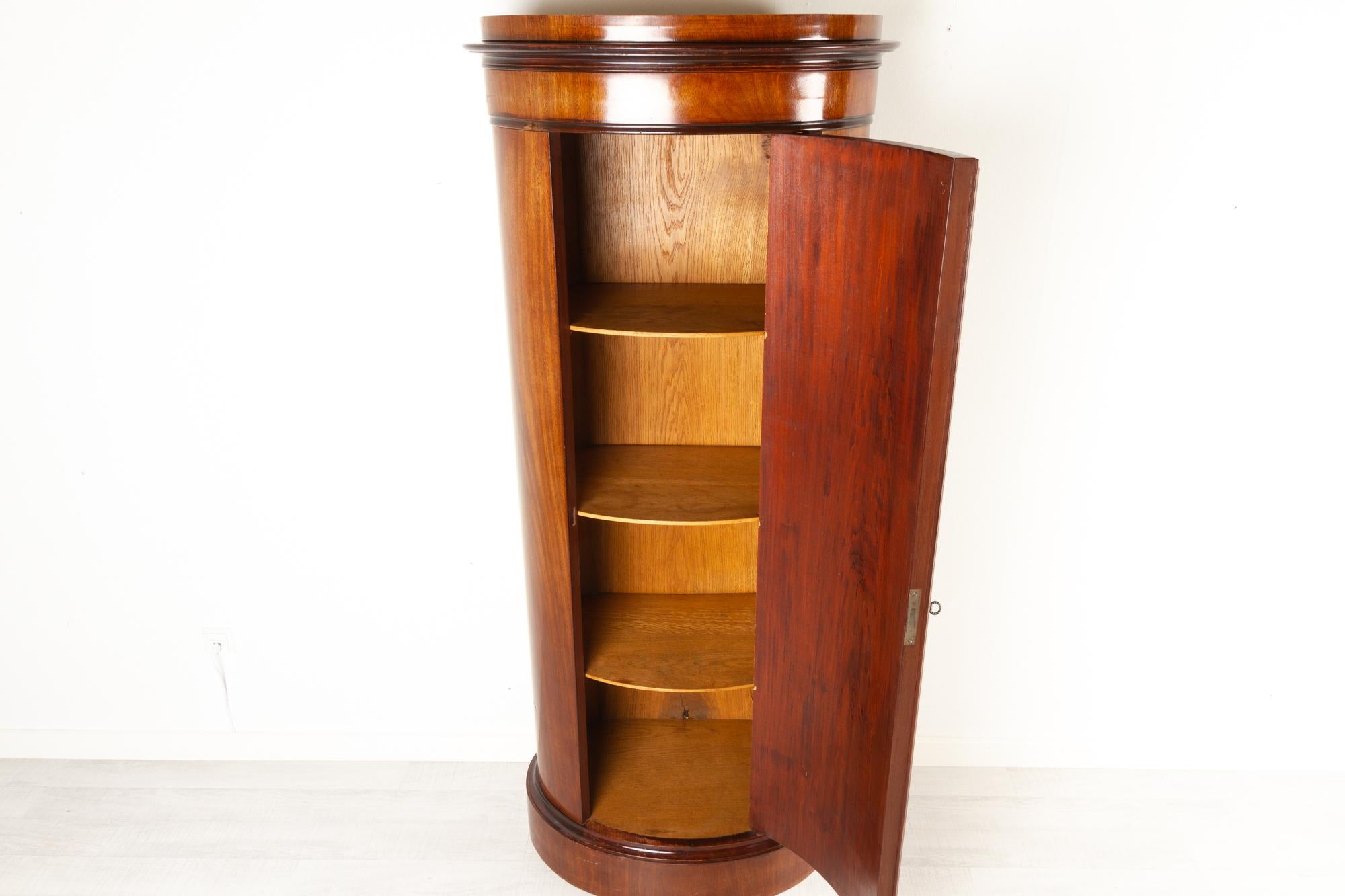 19th Century Biedermeier Pedestal Cabinet, 1850s 4