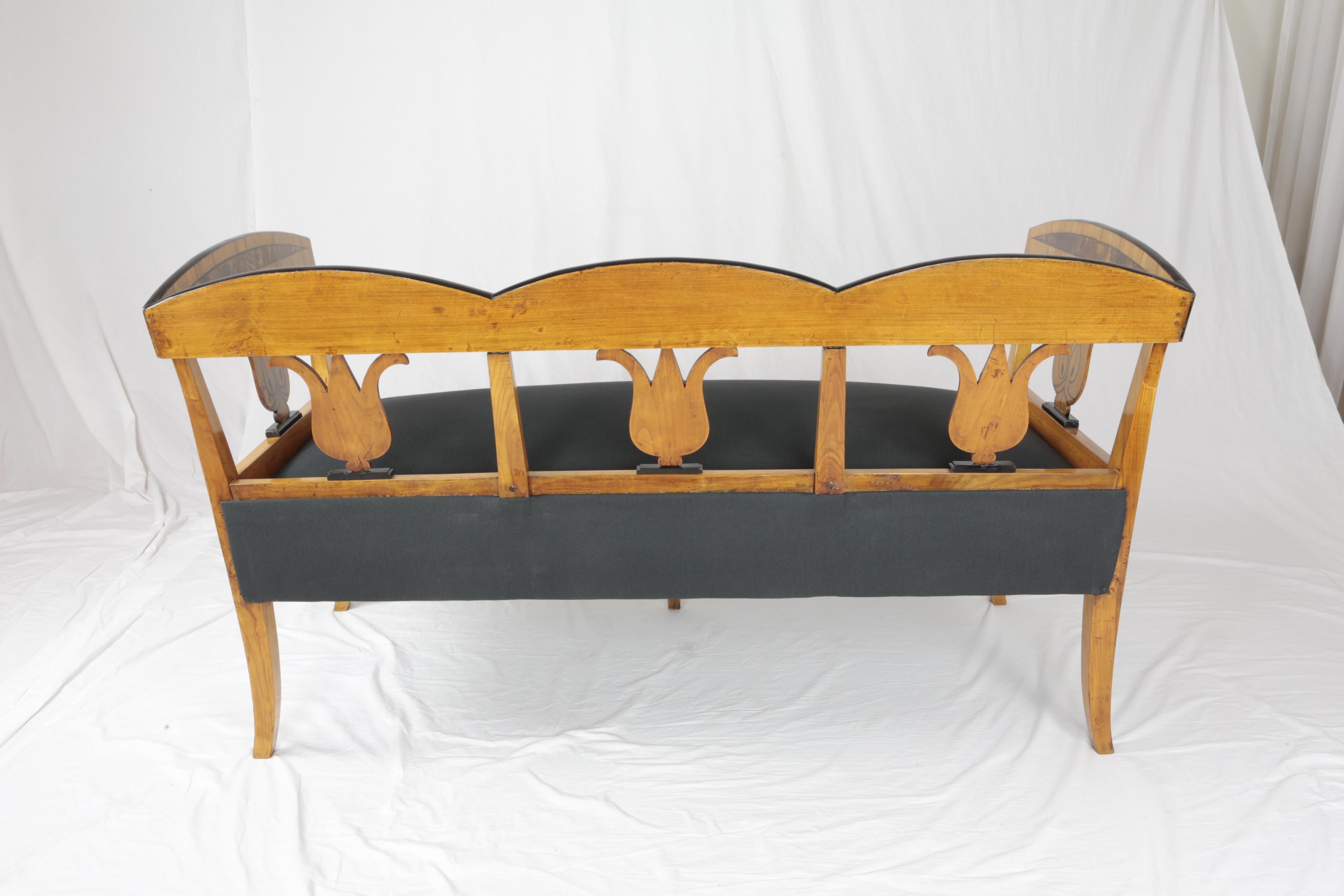 19th Century Biedermeier Period Sofa Bench Cherry Birchwood Light Brown For Sale 3