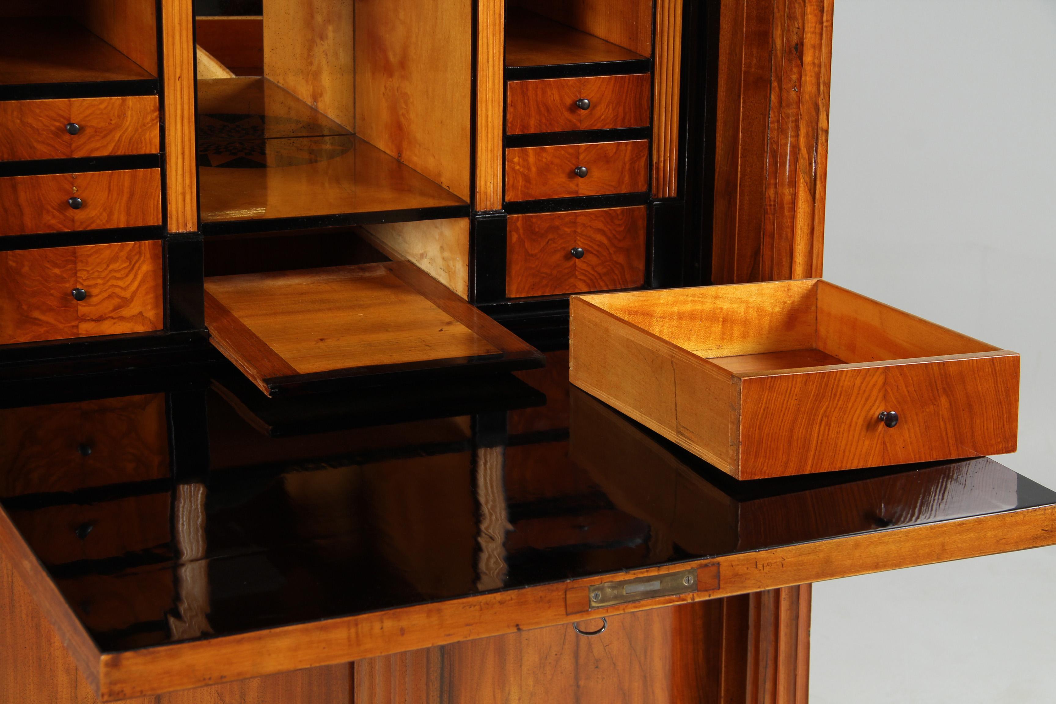19th Century Biedermeier Secretaire with Secret Drawers, Austria, circa 1830 2
