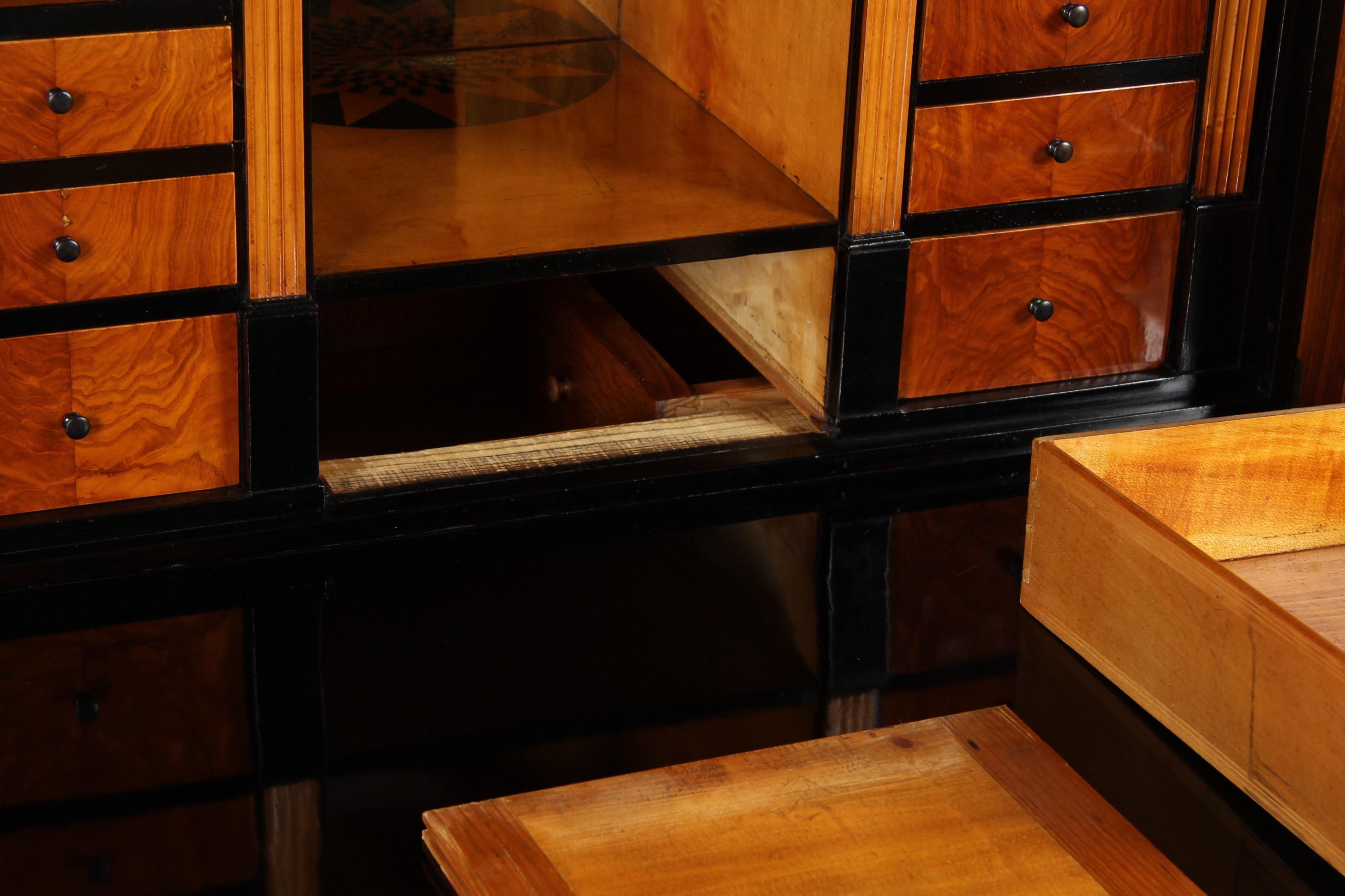 19th Century Biedermeier Secretaire with Secret Drawers, Austria, circa 1830 3