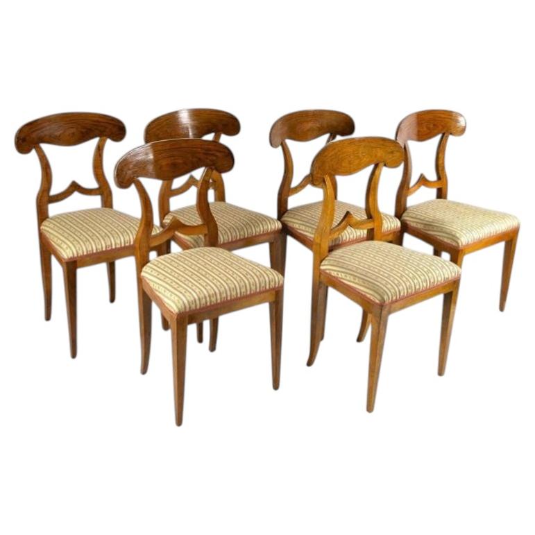 Esszimmerstühle im Biedermeier-Stil aus dem 19. Jahrhundert, Nussbaum – 6er-Set, um ca. 1830