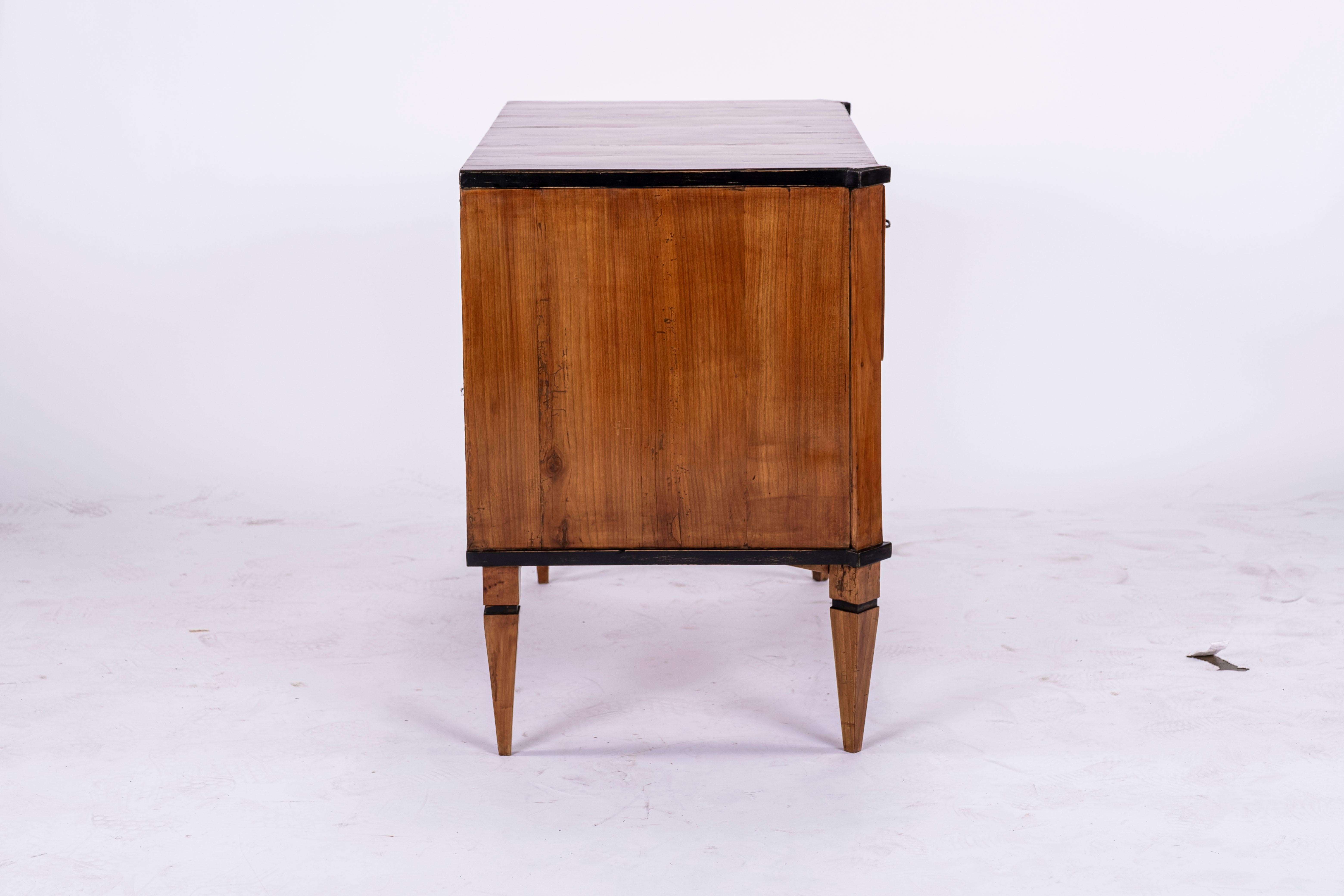 19th Century Biedermeier Side Table or Small Commode For Sale 3