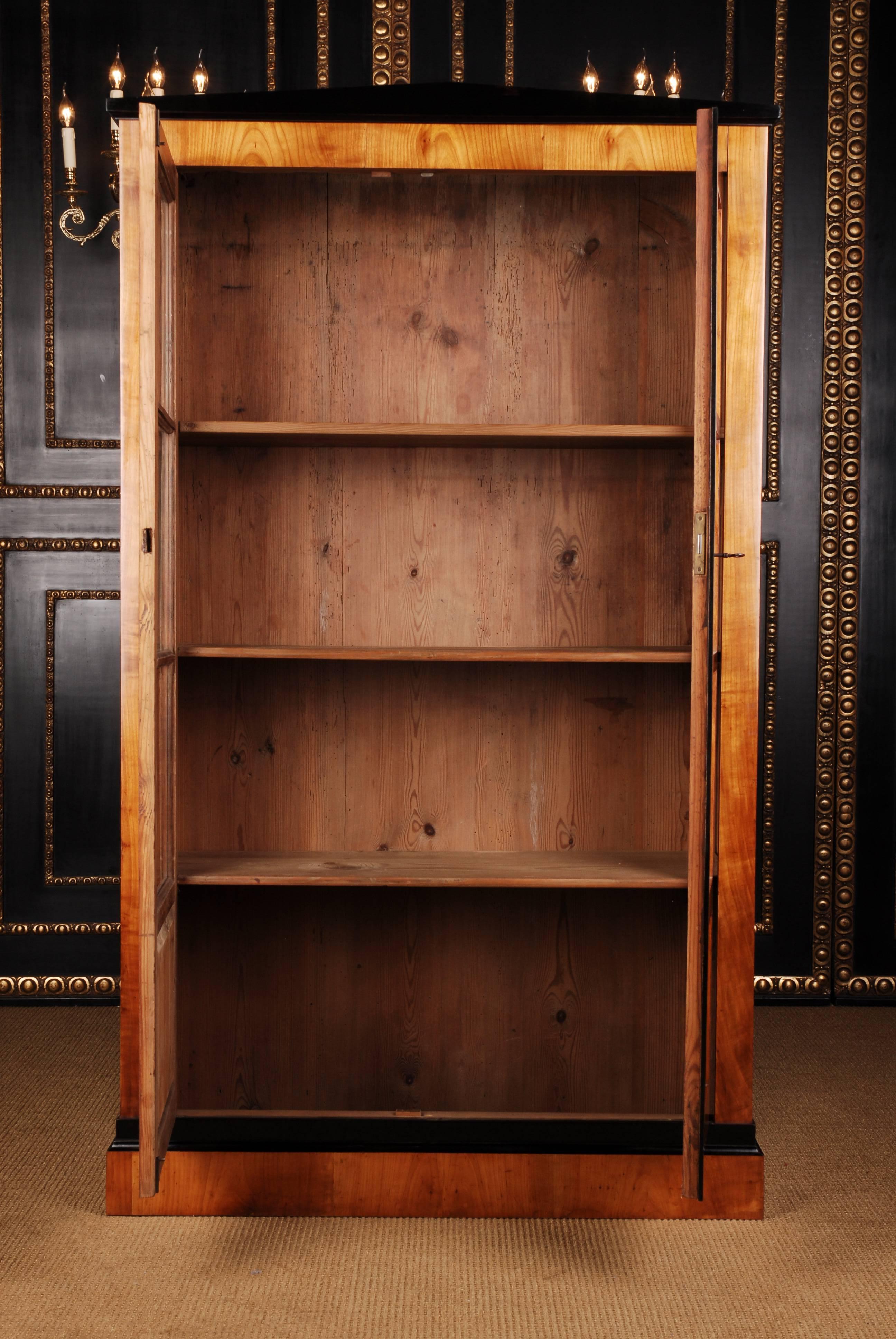 19th Century Biedermeier Style Bookcase or Vitrine For Sale 1
