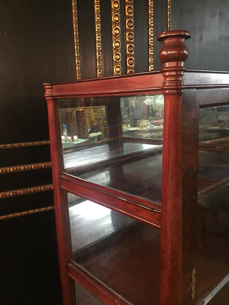 19th Century Biedermeier Style Three-Sided Glazed Glass Vitrine mahogany veneer For Sale 1