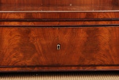 19th Century Biedermeier Style Three-Sided Glazed Vitrine