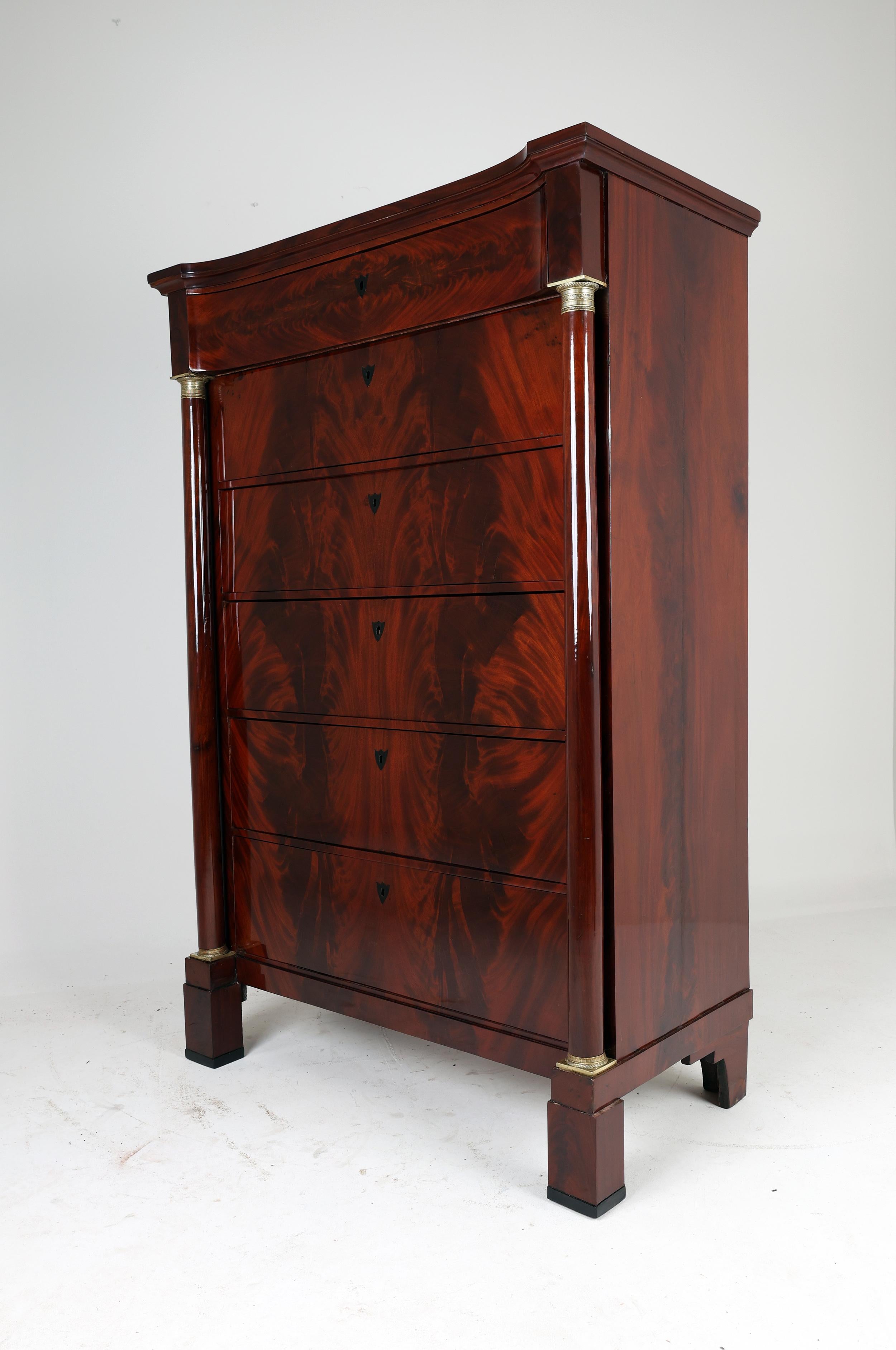 19th Century Biedermeier Tall Chest of Drawers For Sale 2