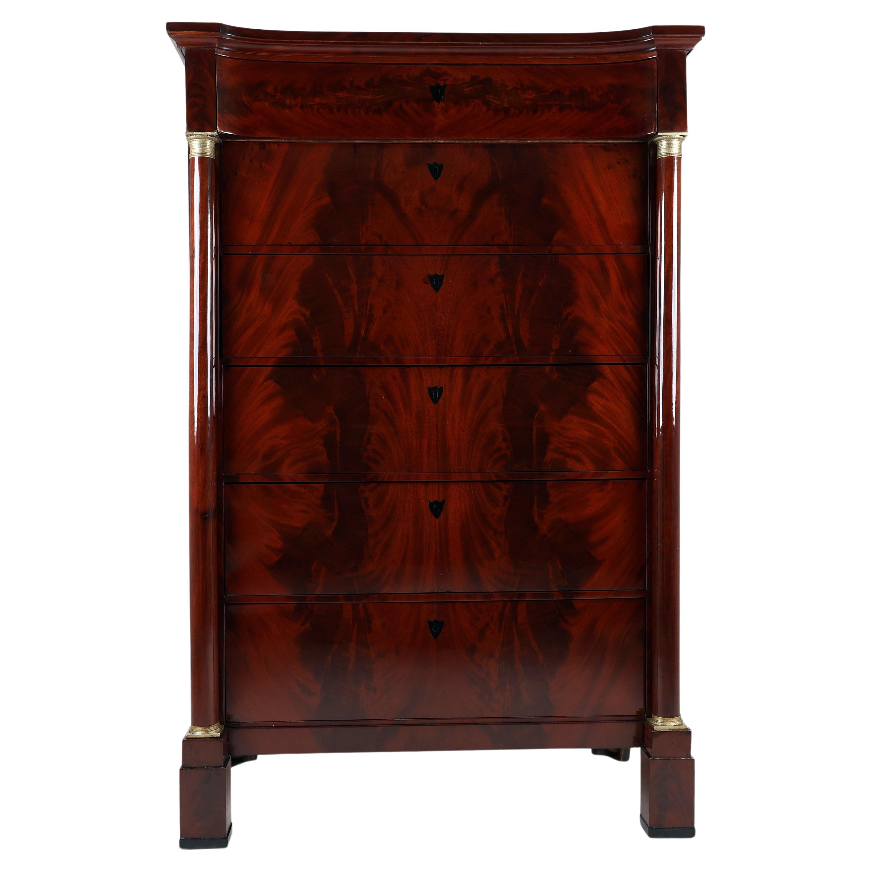 19th Century Biedermeier Tall Chest of Drawers For Sale