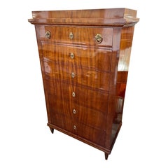 19th Century Biedermeier Tall Chest of Drawers with Bronze Mounts