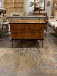 19th Century Biedermeier Walnut and Ebonized 2-Drawer Chest