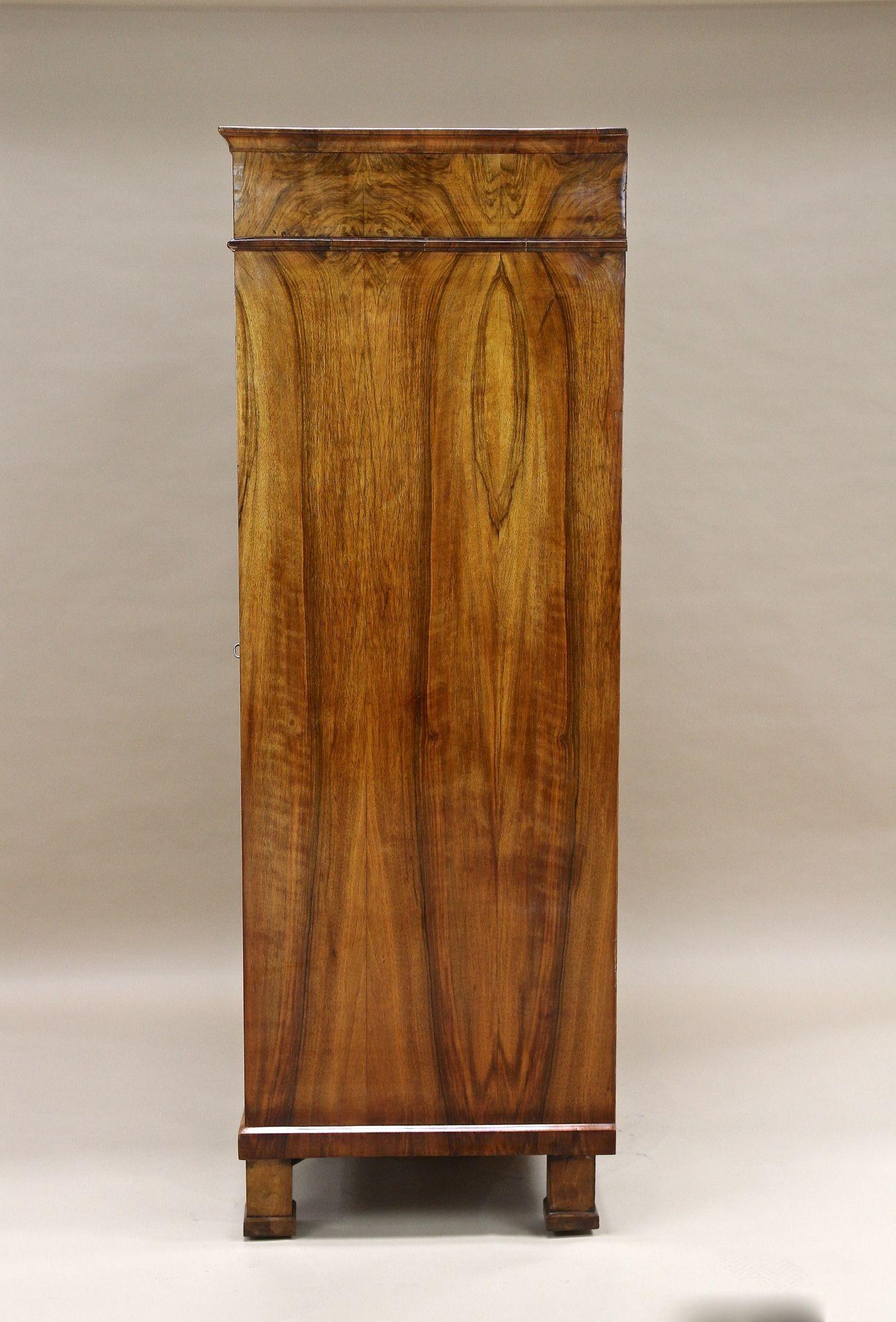 19th Century Biedermeier Walnut Cabinet/ Vitrine/ Bookcase, Austria ca. 1835 For Sale 6