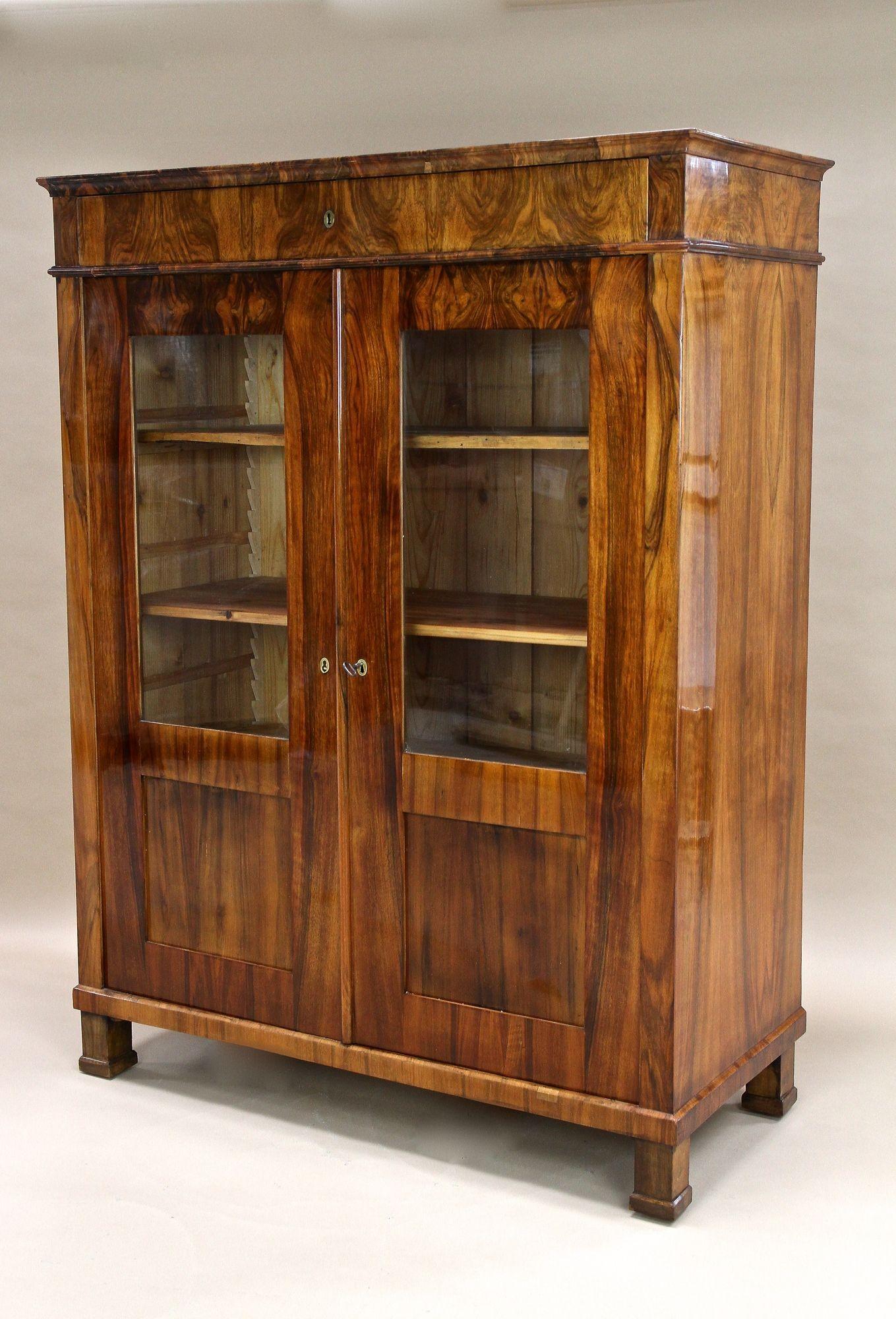 19th Century Biedermeier Walnut Cabinet/ Vitrine/ Bookcase, Austria ca. 1835 For Sale 8