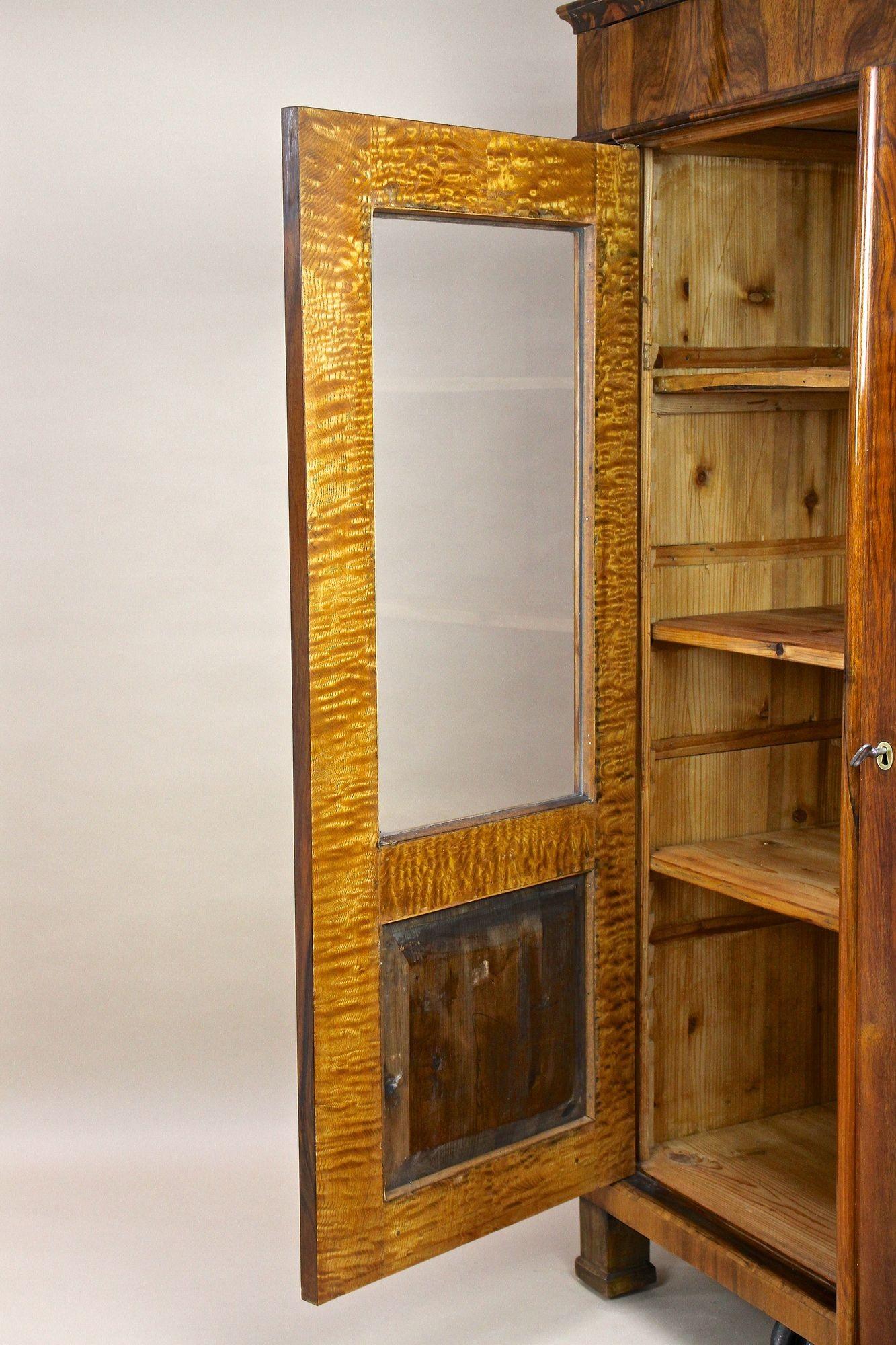 19th Century Biedermeier Walnut Cabinet/ Vitrine/ Bookcase, Austria ca. 1835 For Sale 11