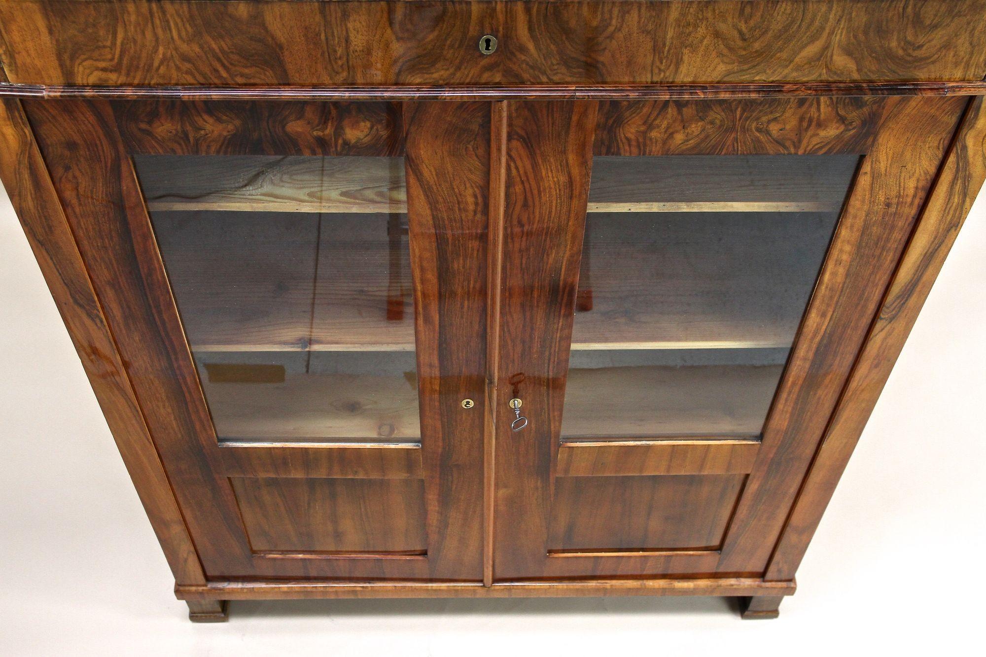 19th Century Biedermeier Walnut Cabinet/ Vitrine/ Bookcase, Austria ca. 1835 For Sale 14