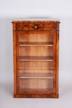 19th Century Biedermeier Walnut Display Display Bookcase, Czechia