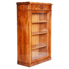 Antique 19th Century Biedermeier Walnut Display Display Bookcase, Czechia