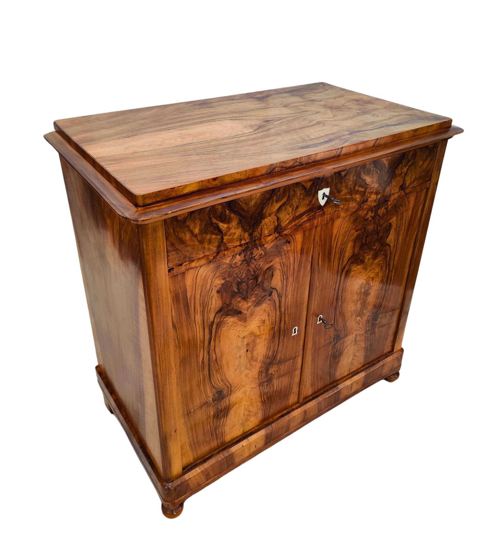 19th Century Biedermeier Walnut Half Cabinet / Commode For Sale 5