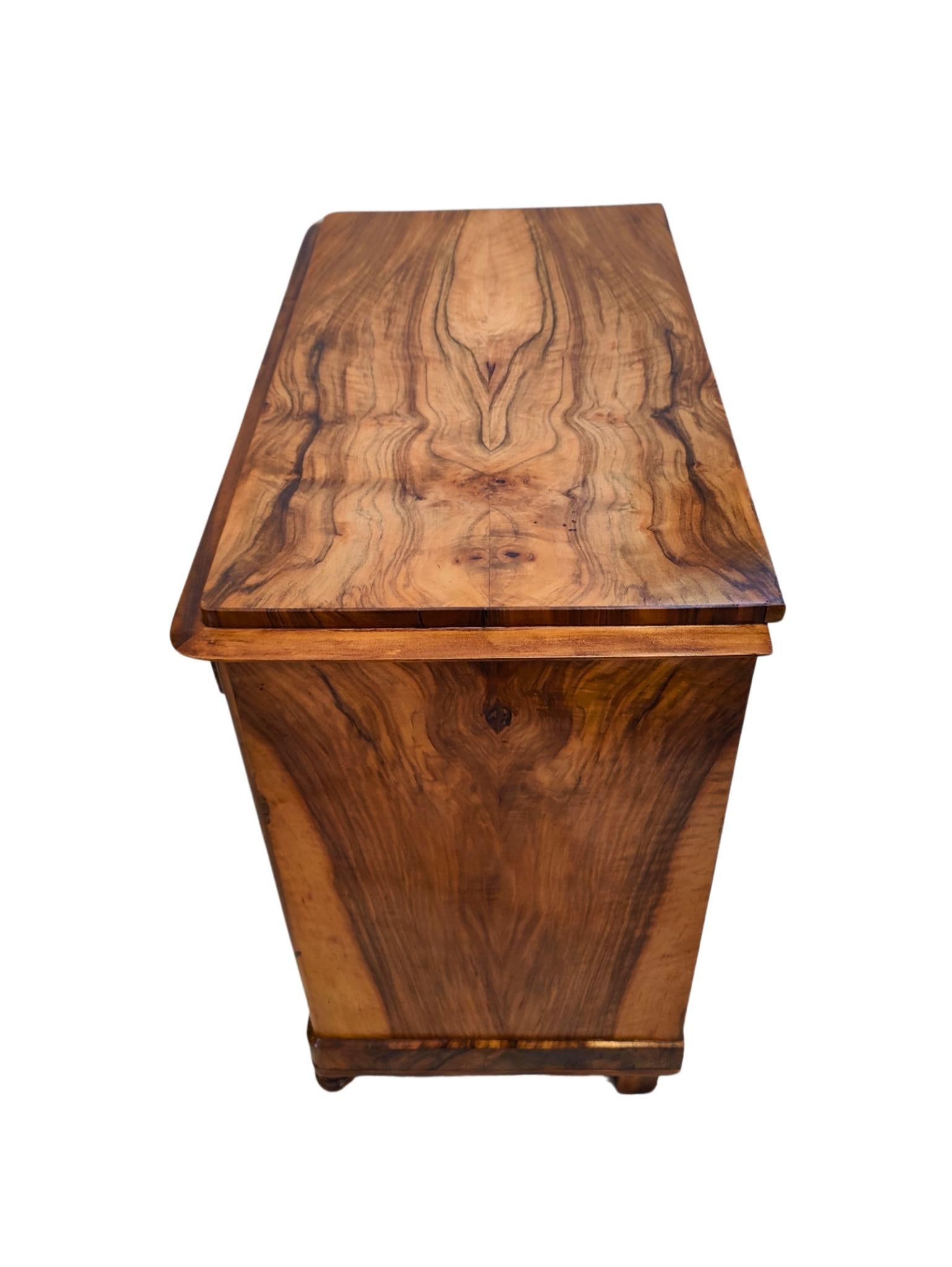 19th Century Biedermeier Walnut Half Cabinet / Commode For Sale 6