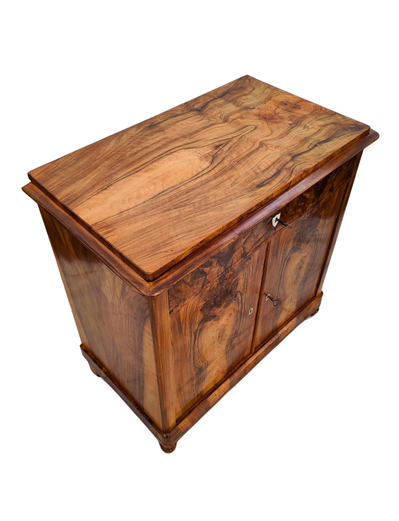 19th Century Biedermeier Walnut Half Cabinet / Commode For Sale 2