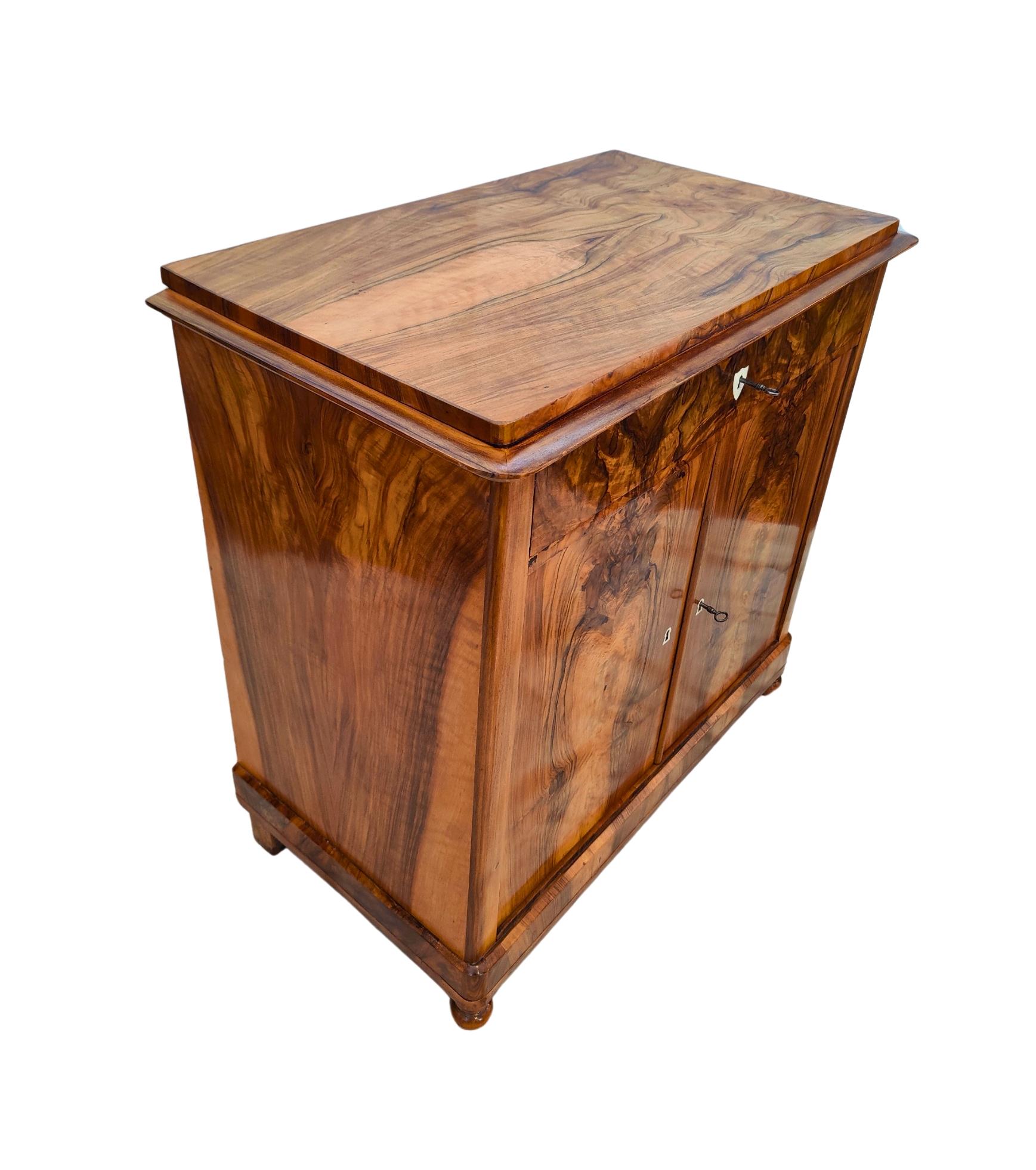 19th Century Biedermeier Walnut Half Cabinet / Commode For Sale 3