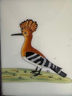 "19th-Century Bird Illustration: Elegant Avian Artwork"