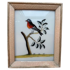 19th-Century Bird Illustration: Timeless Avian Art