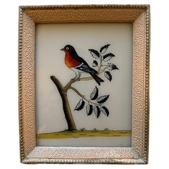 19th-Century Bird Illustration: Timeless Avian Art