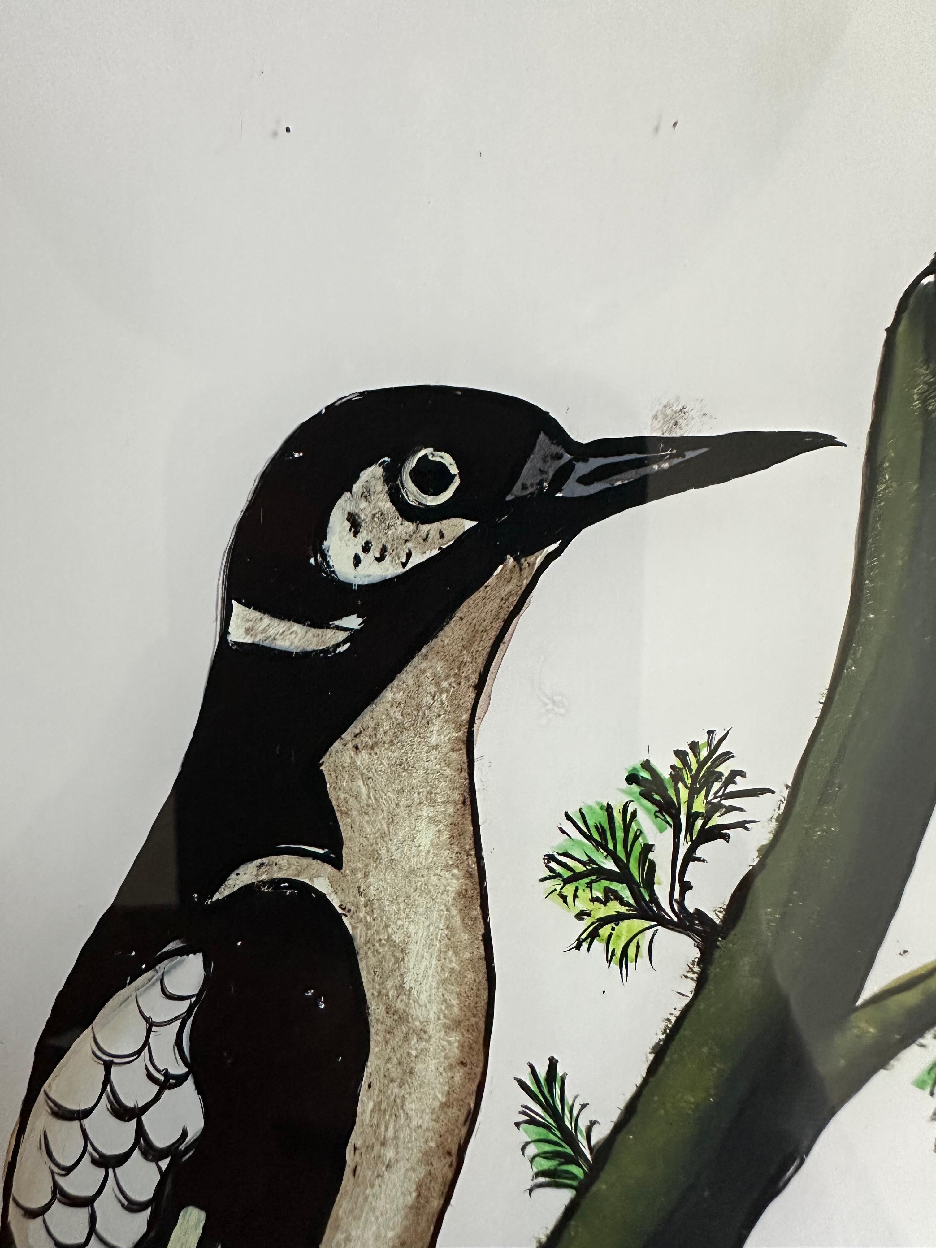 Ce portrait d'oiseau du XIXe siècle capture magnifiquement l'élégance et les détails complexes de son sujet aviaire. Le pinceau délicat de l'artiste et sa palette de couleurs vives donnent vie à l'oiseau, en mettant en valeur ses plumes, sa pose