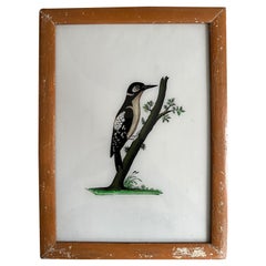 „Vogelporträt aus dem 19. Jahrhundert: Feine ornithologische Kunst“