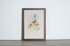 19th Century Bird Print - One of 24