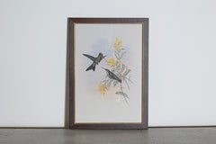 19th Century Bird Print - One of 24