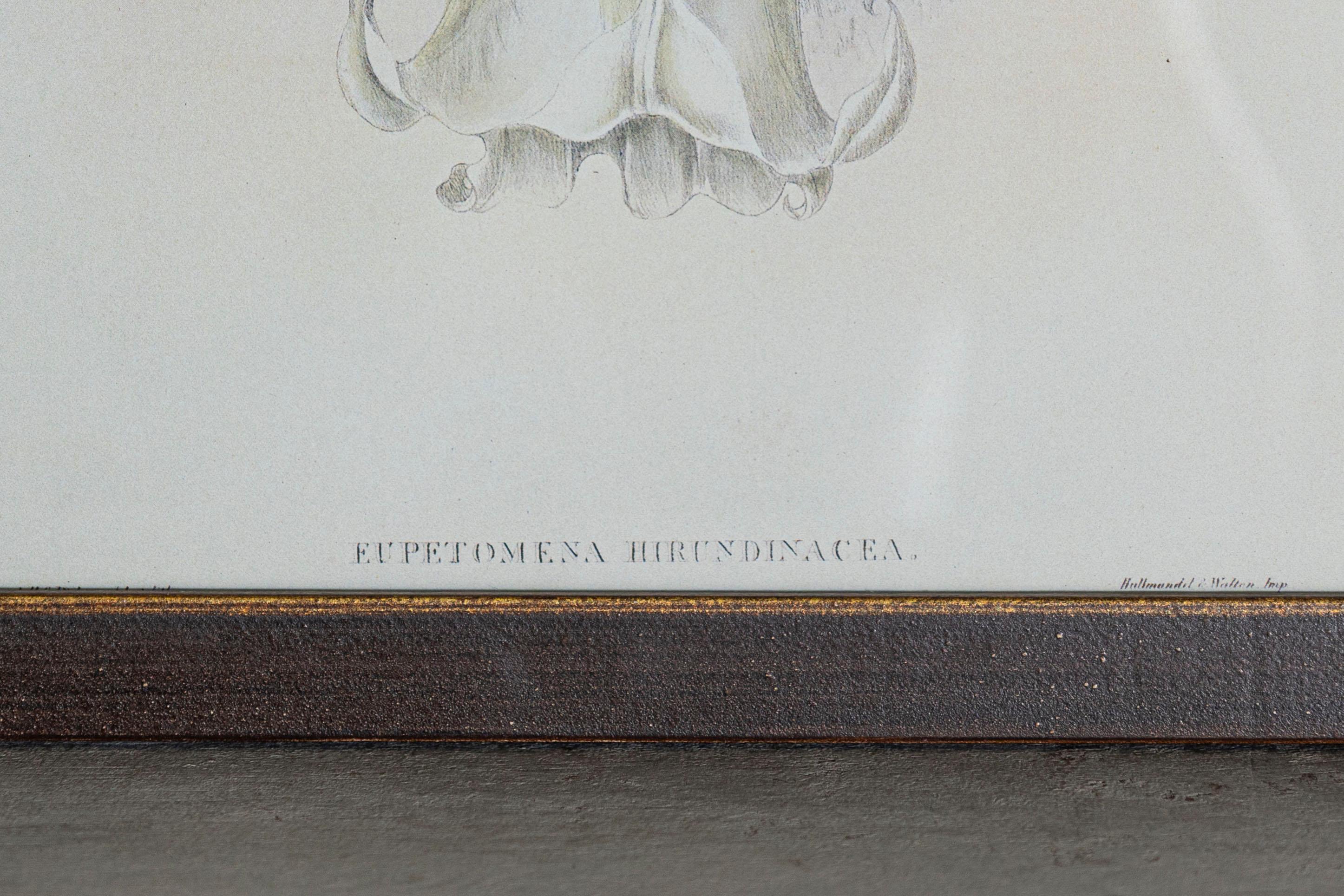 19th Century Bird Print - One of 24 In Good Condition For Sale In Atlanta, GA