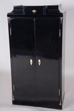 19th Century Black Empire Austrian Double-Door Bookcase, Vien, Pear wood
