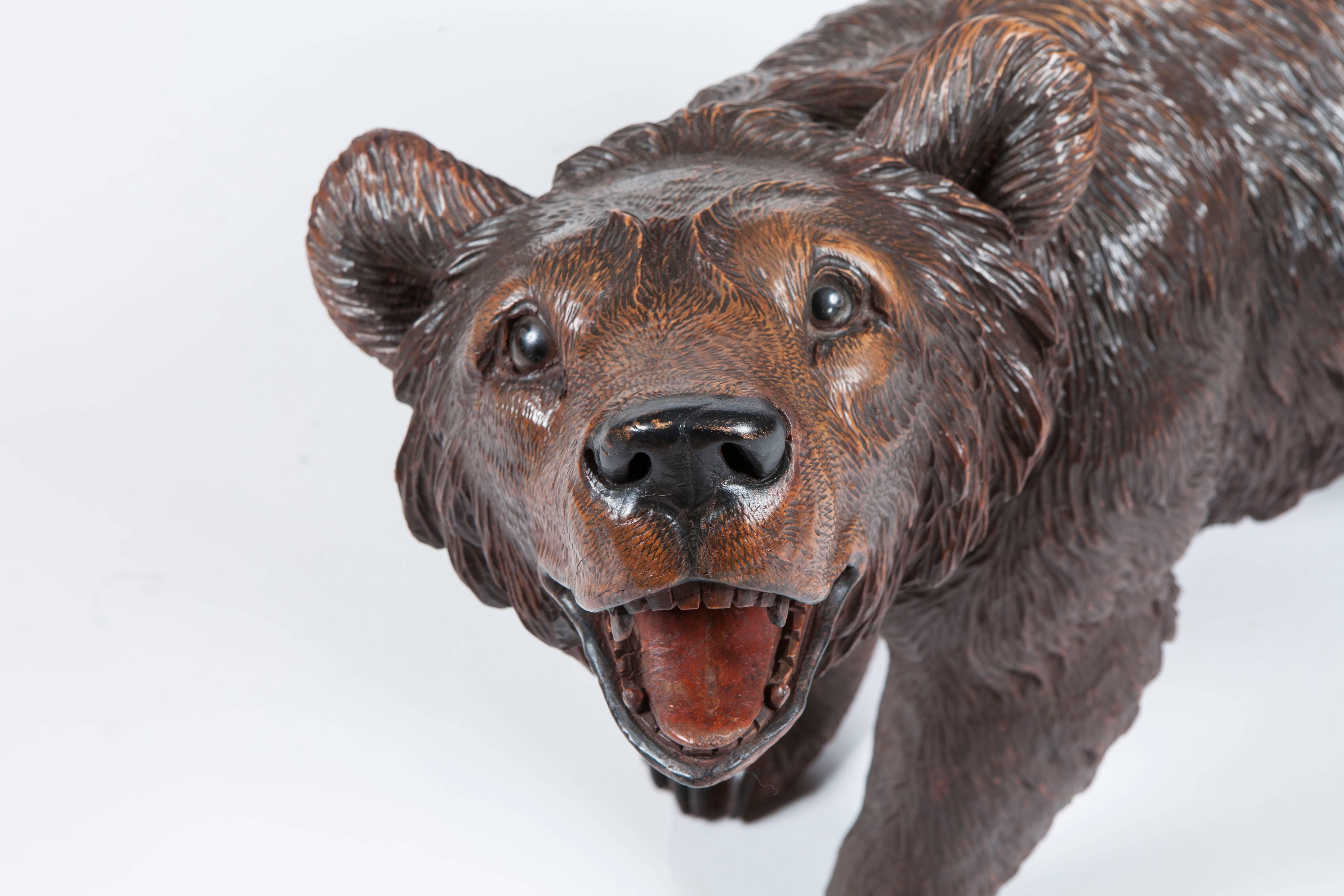 A 'Black Forest' Bear
In naturalistically carved lindenwood, having glass eyes, head tilted aloft, prowls on all fours.

From the Brienz Area.
Brienz, in the Bernese Oberland, Switzerland was remarked upon in Baedeker's Travel Guide, as having a