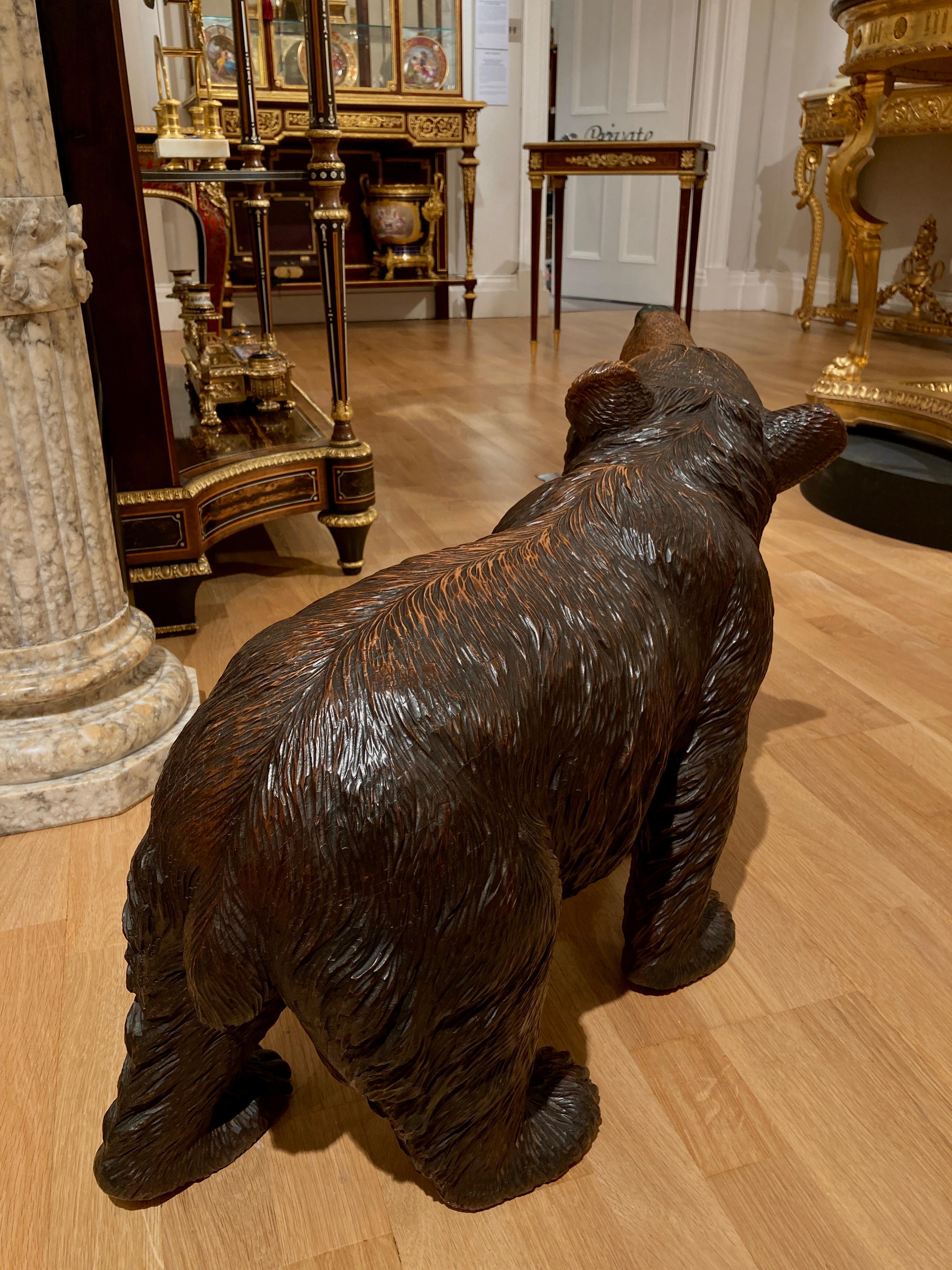 Schwarzwaldbär aus dem 19. Jahrhundert im Zustand „Gut“ im Angebot in London, GB