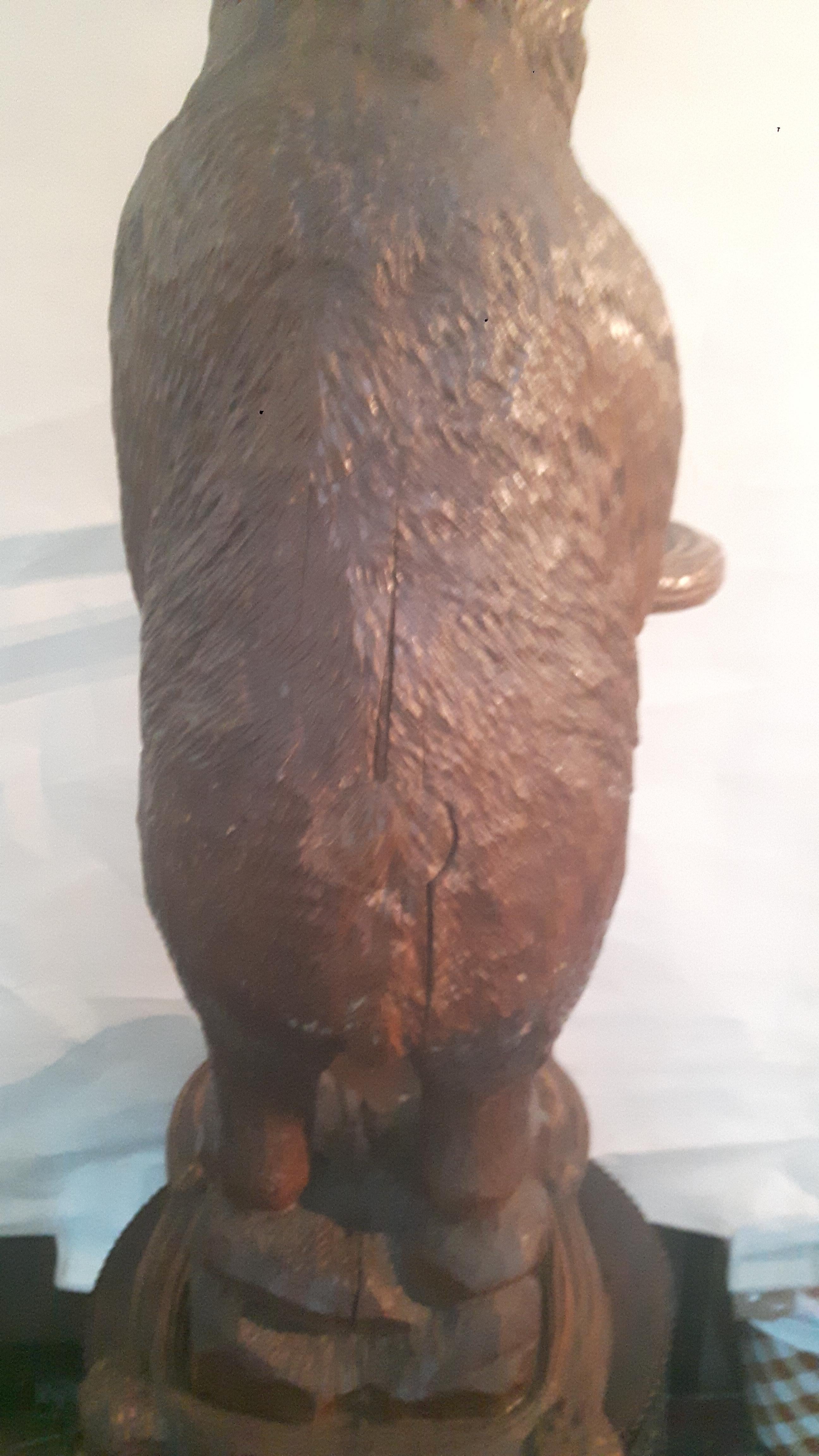 Walnut 19th Century Black Forest Bear For Sale