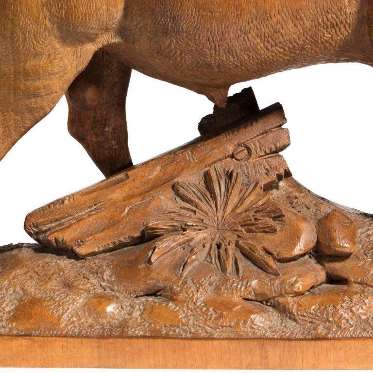 Suisse Le taureau de la Forêt-Noire du 19ème siècle en vente