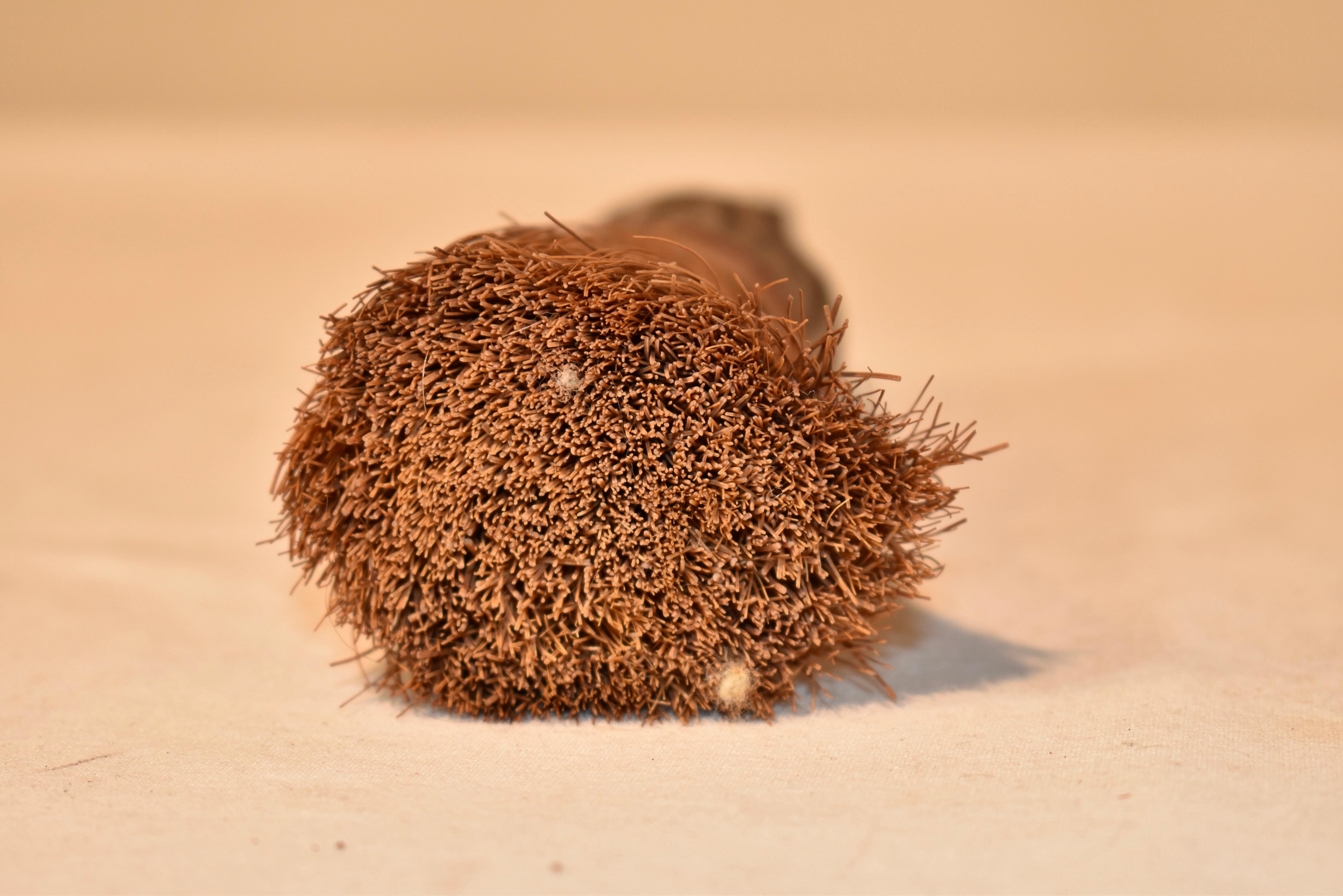Fruitwood 19th Century Black Forest Carved Bear Brush For Sale