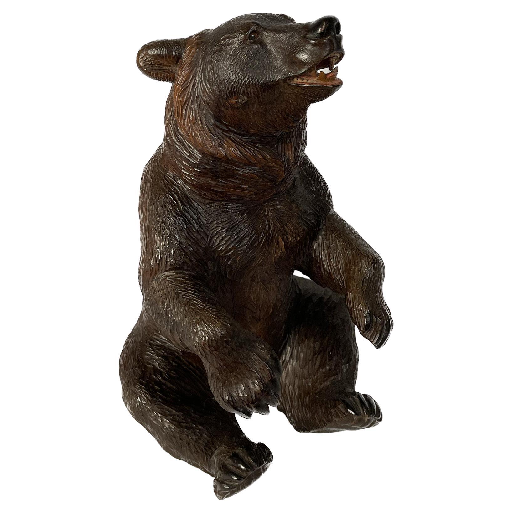 19th Century Black Forest Carved Bear Canister For Sale