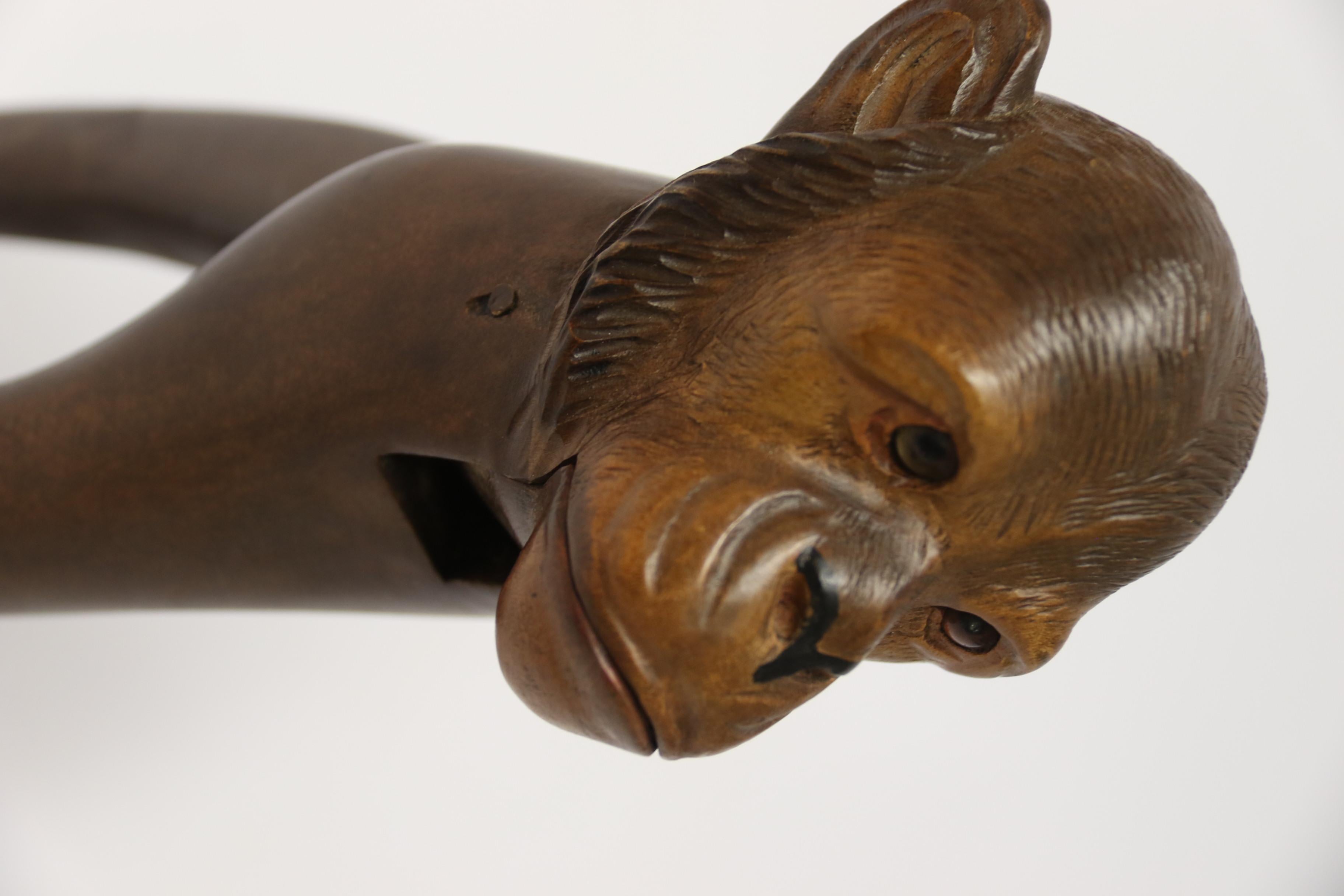 19th Century Black Forest Nutcracker in the Form of a Monkey, circa 1890 1