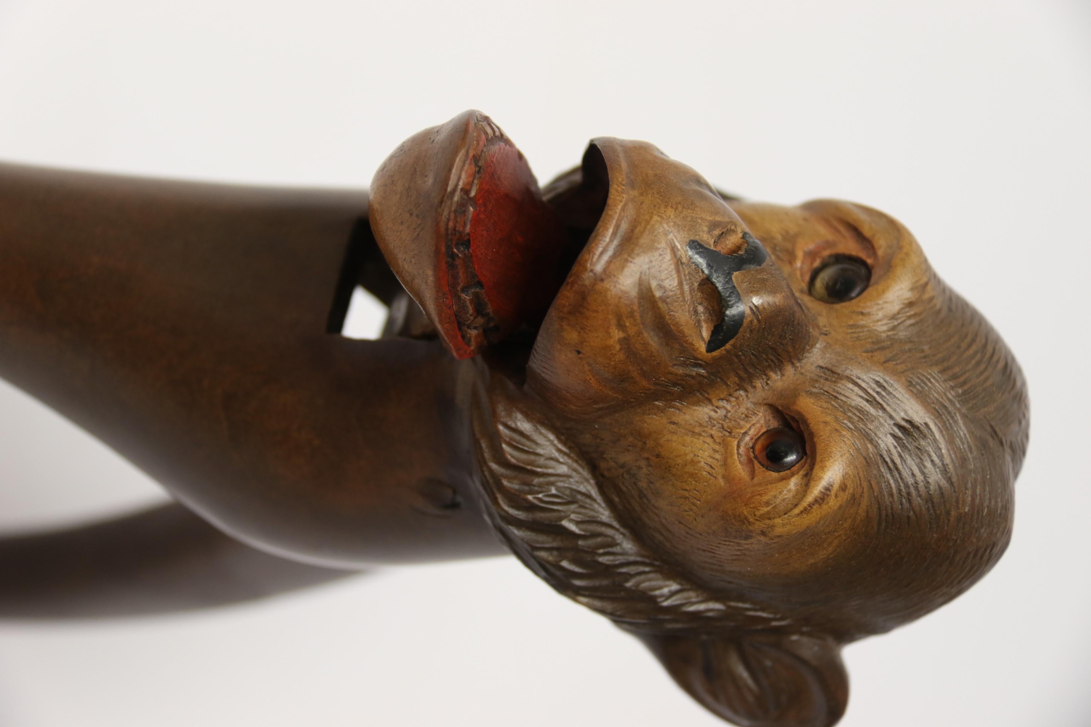 19th Century Black Forest Nutcracker in the Form of a Monkey, circa 1890 For Sale 2